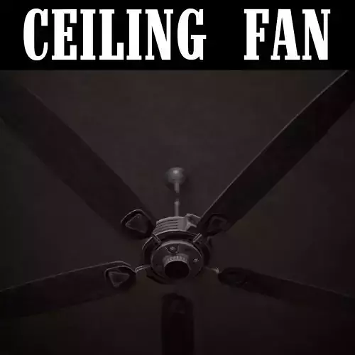 Ceiling Fan