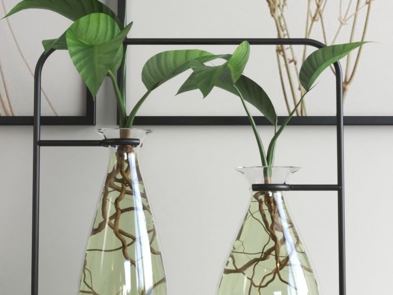 set423 vases and plants on shelf 3D model_3