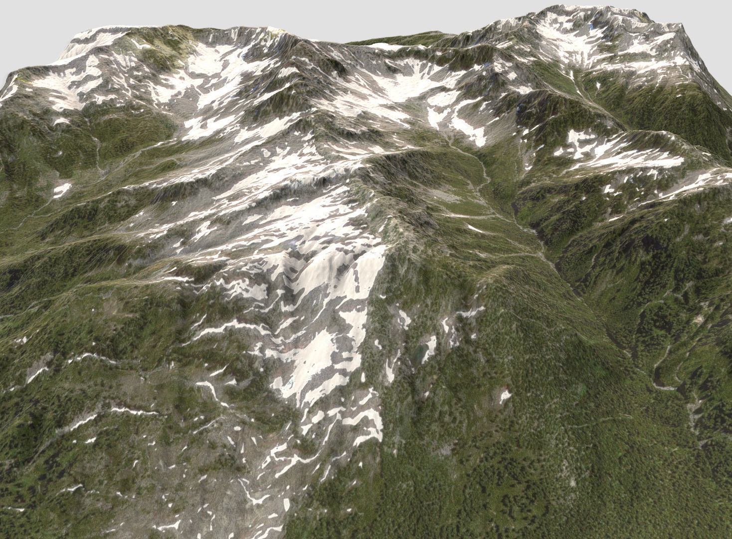 Mt Meany - Terrain Landscape Low-poly 3D model_1