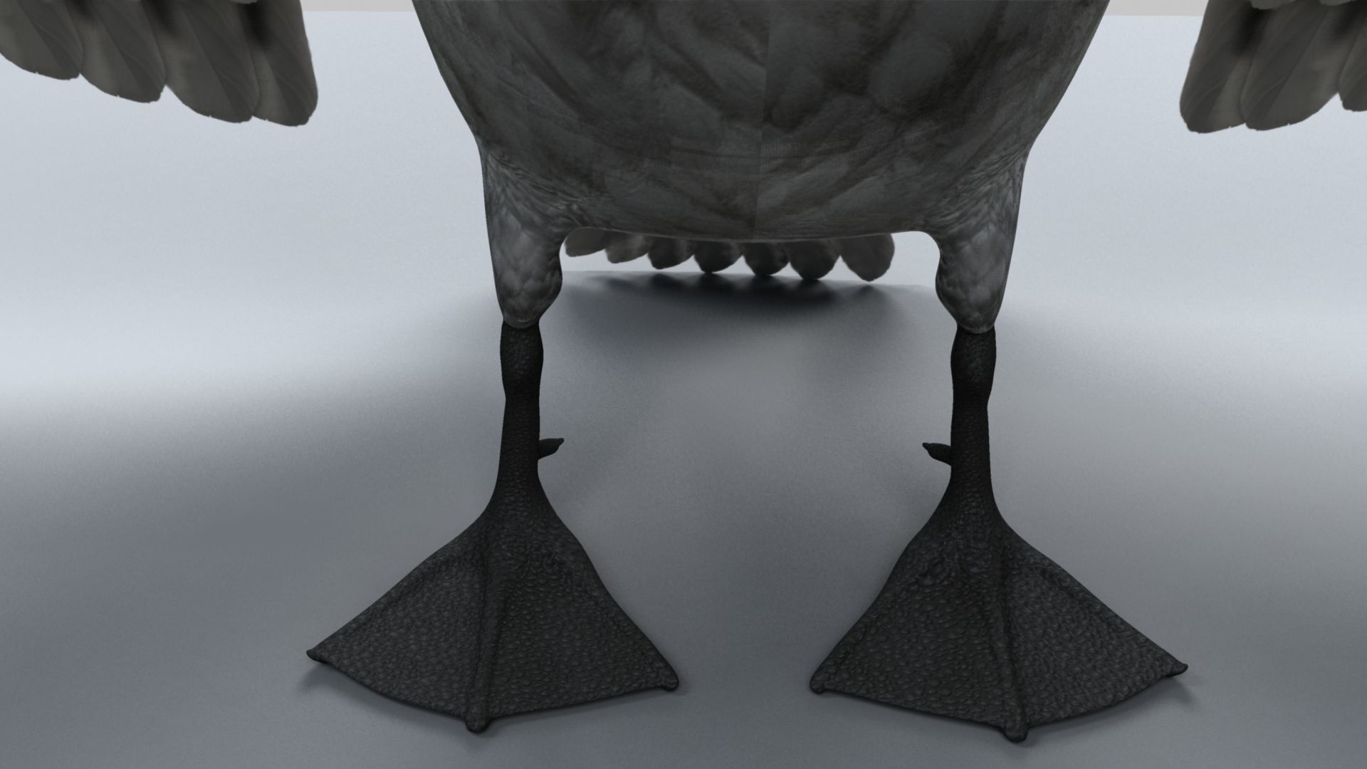 White Swan 3D model_16