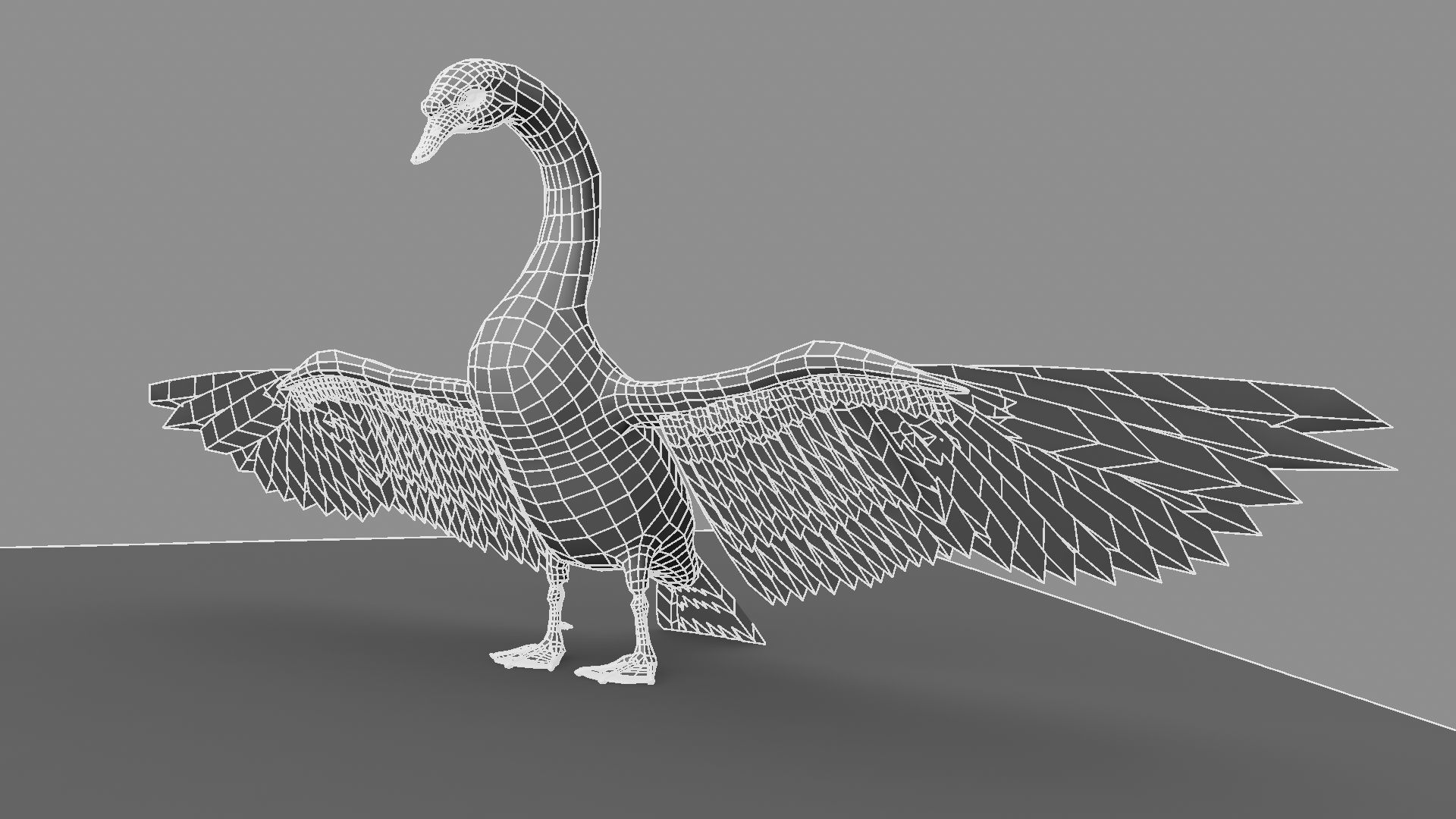 White Swan 3D model_25
