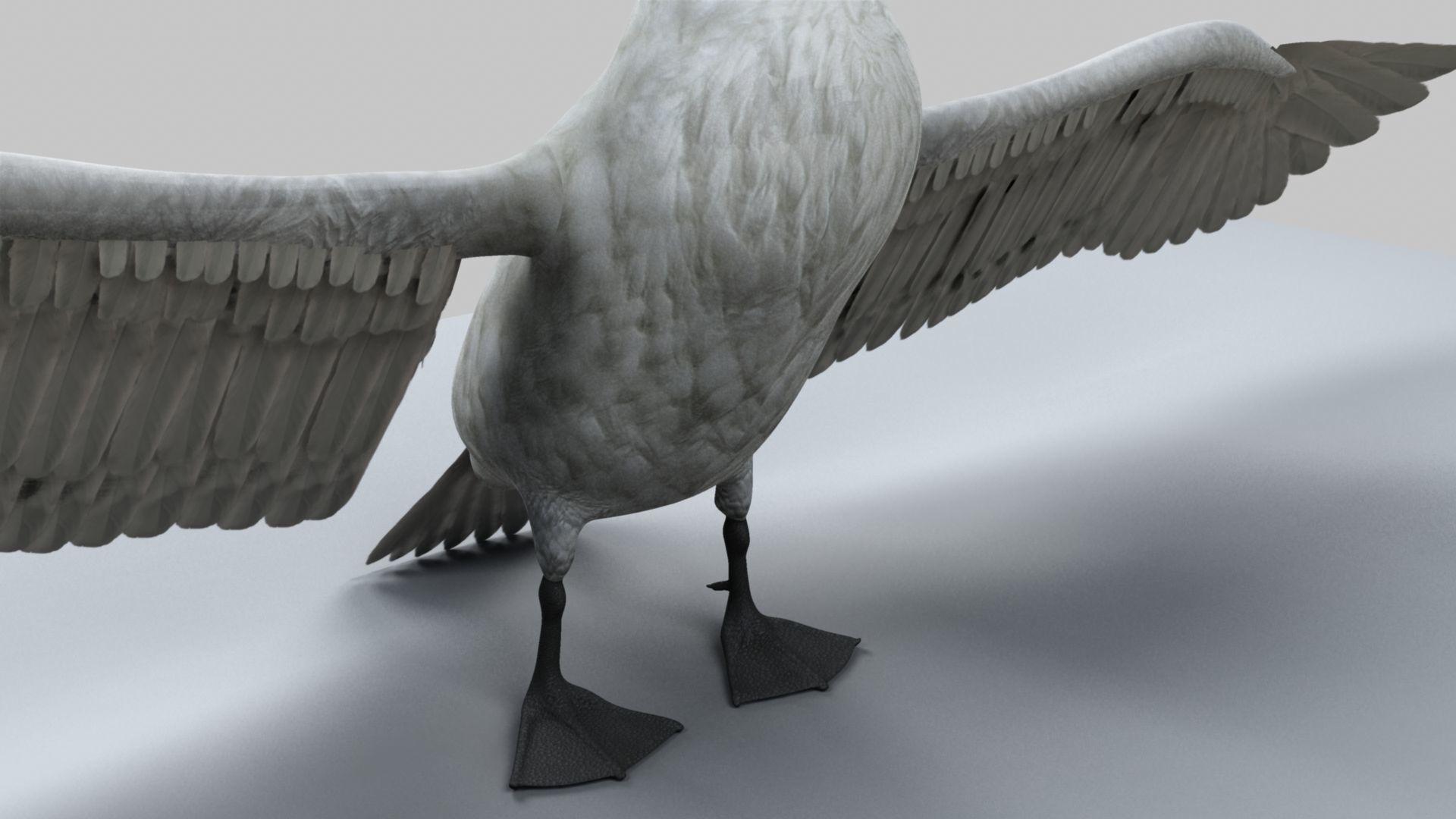 White Swan 3D model_15