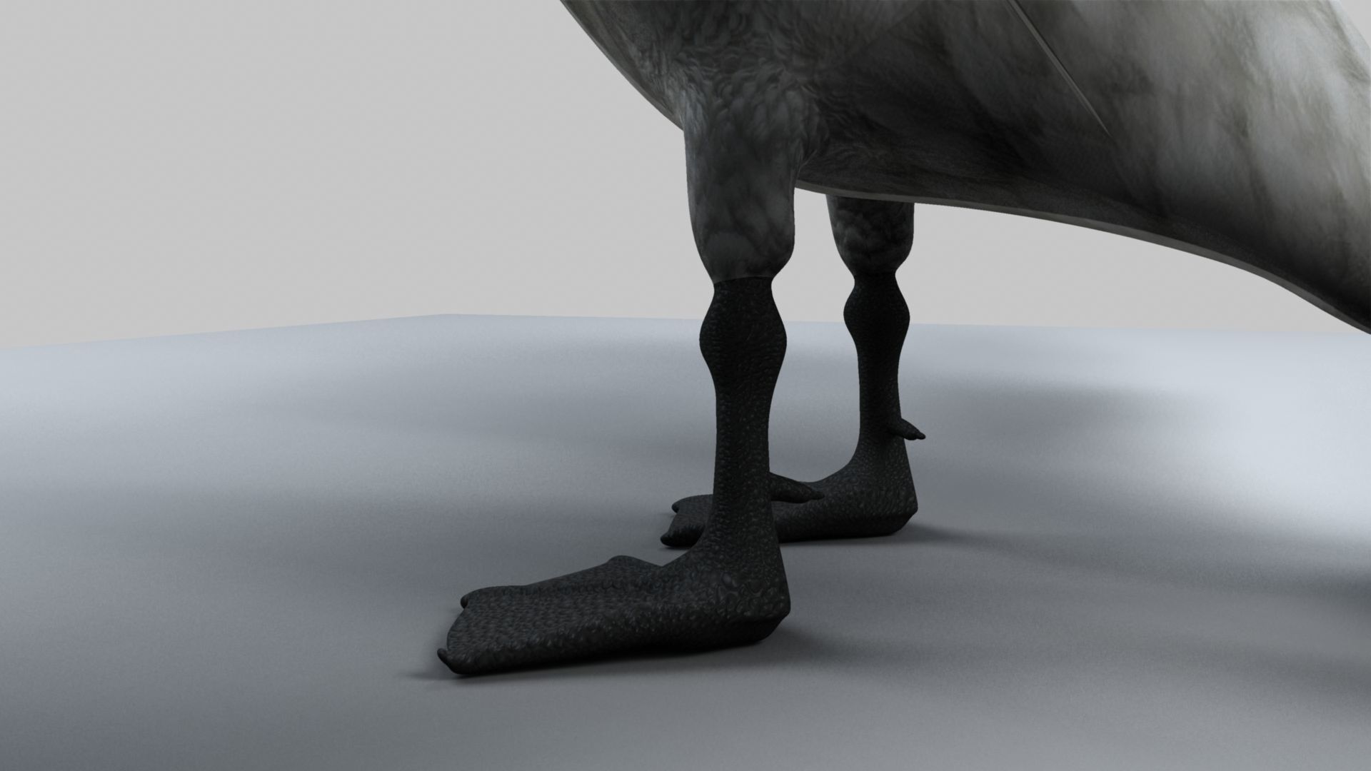 White Swan 3D model_18