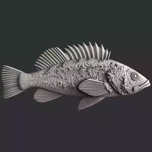 3d STL models for CNC router Rockfish 3D model