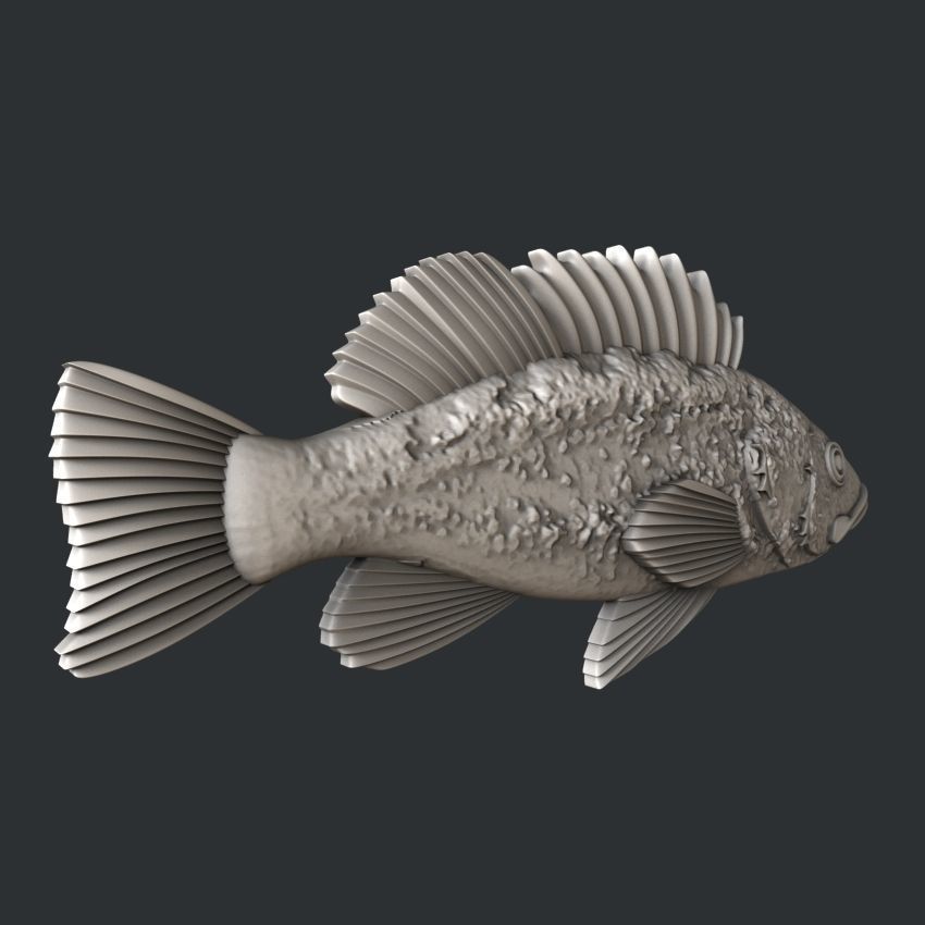 3d STL models for CNC router Rockfish 3D model_1
