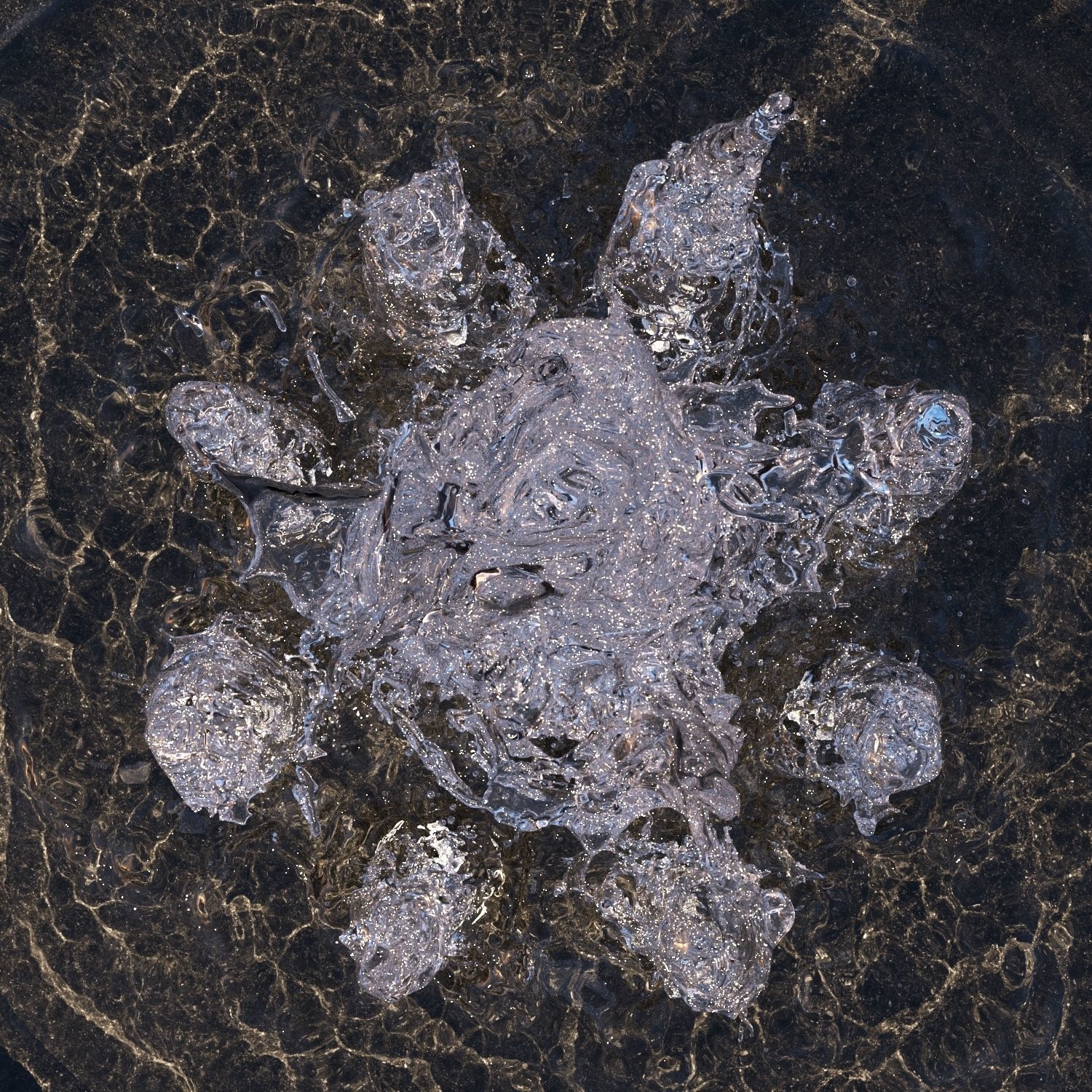  Large Water Fountains  3D model_3