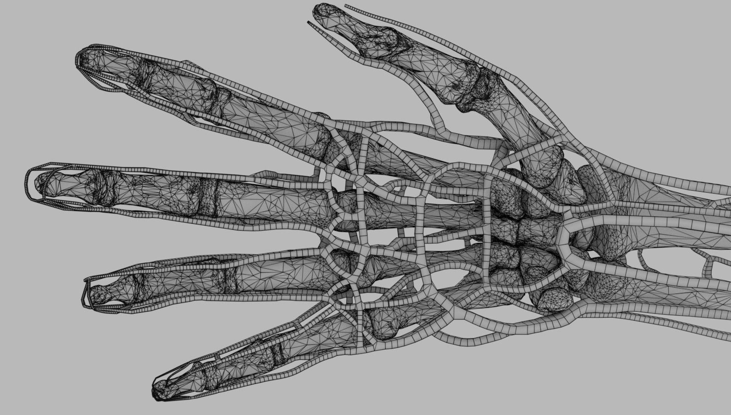 Venous drainage upper limb- vein 3D model_37