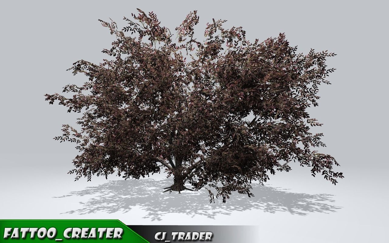 Realistic Ground Cover Collocation Pack 3D Model Low-poly 3D model_5