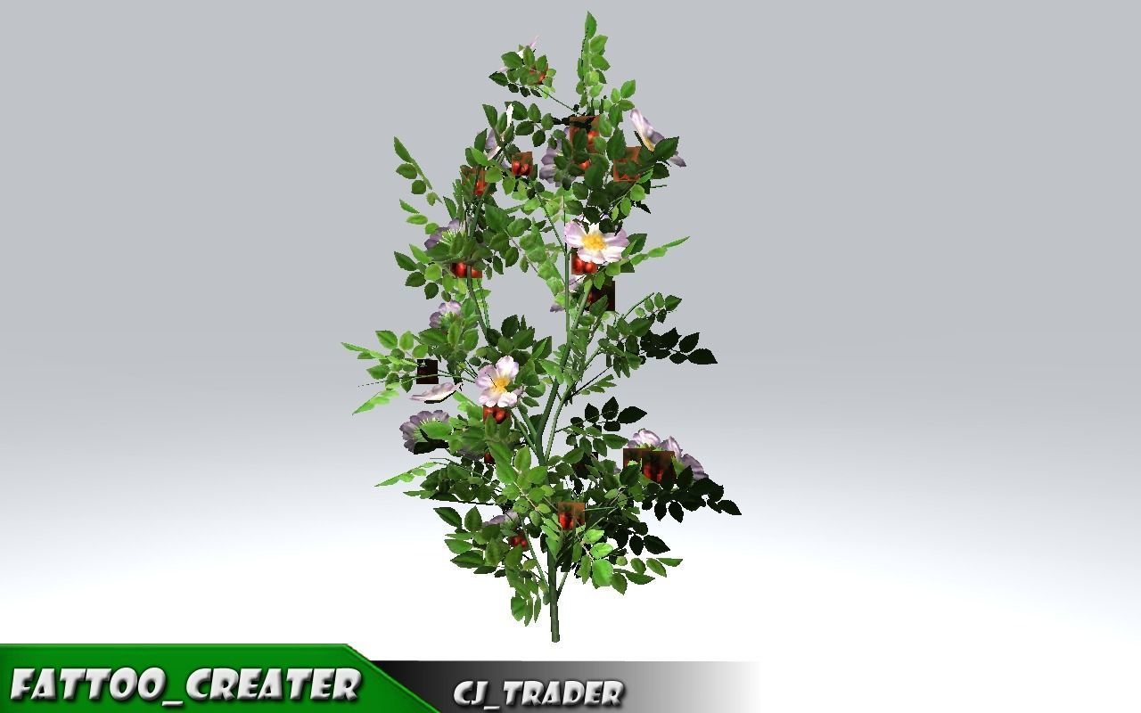 Realistic Ground Cover Collocation Pack 3D Model Low-poly 3D model_12