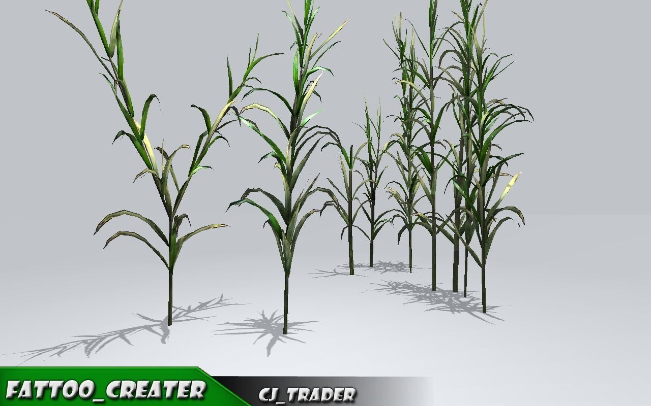 Realistic Ground Cover Collocation Pack 3D Model Low-poly 3D model_3