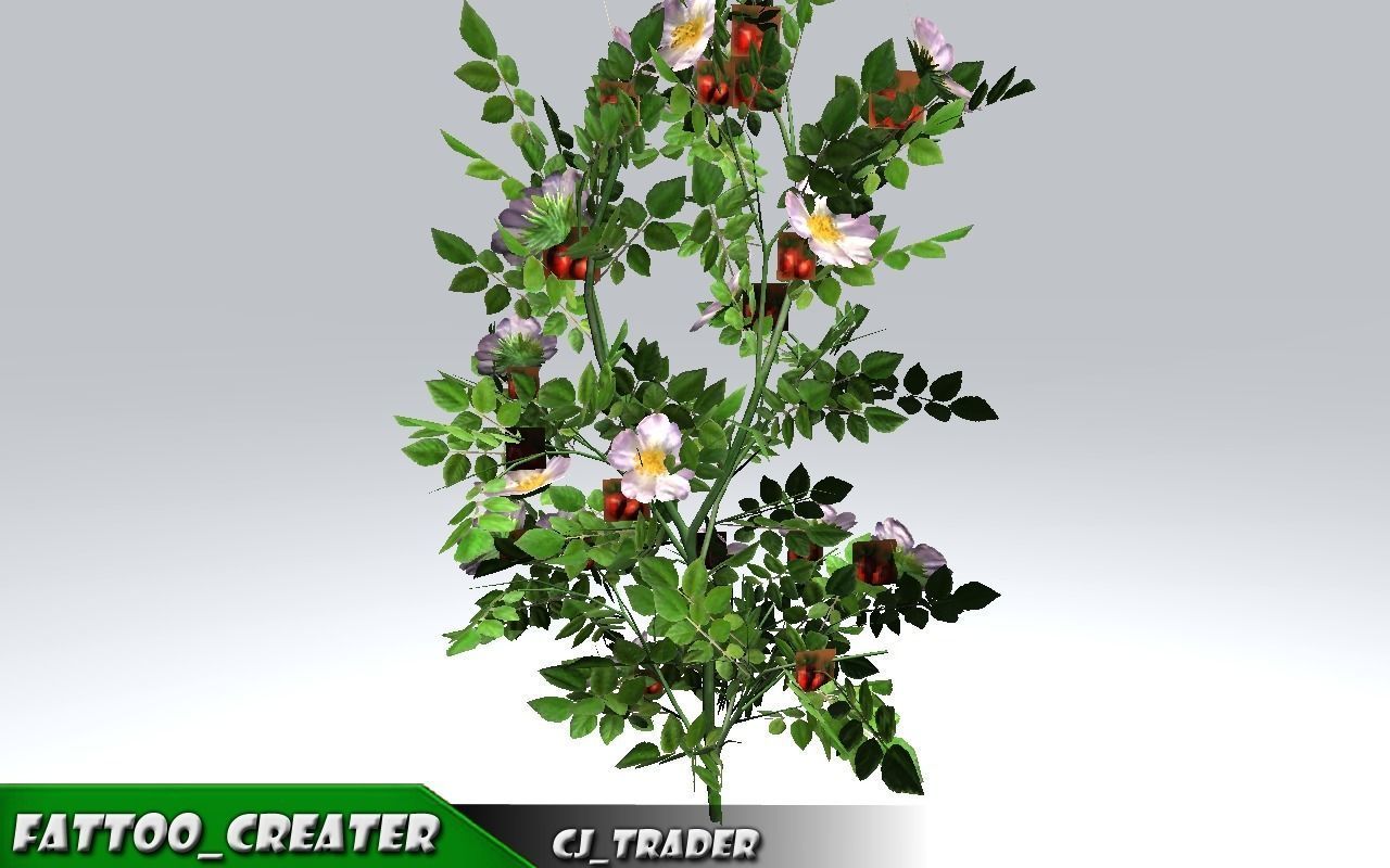 Realistic Ground Cover Collocation Pack 3D Model Low-poly 3D model_13