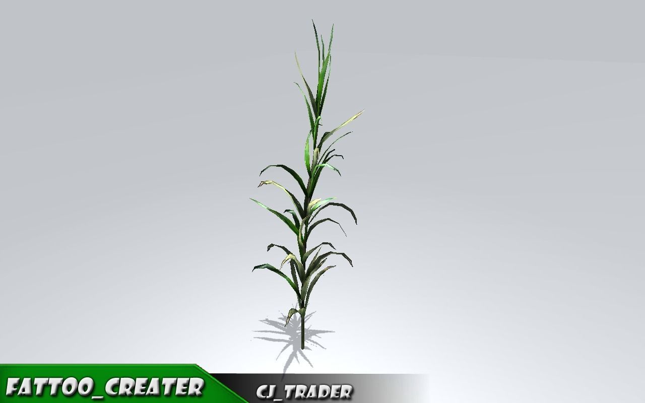 Realistic Ground Cover Collocation Pack 3D Model Low-poly 3D model_10