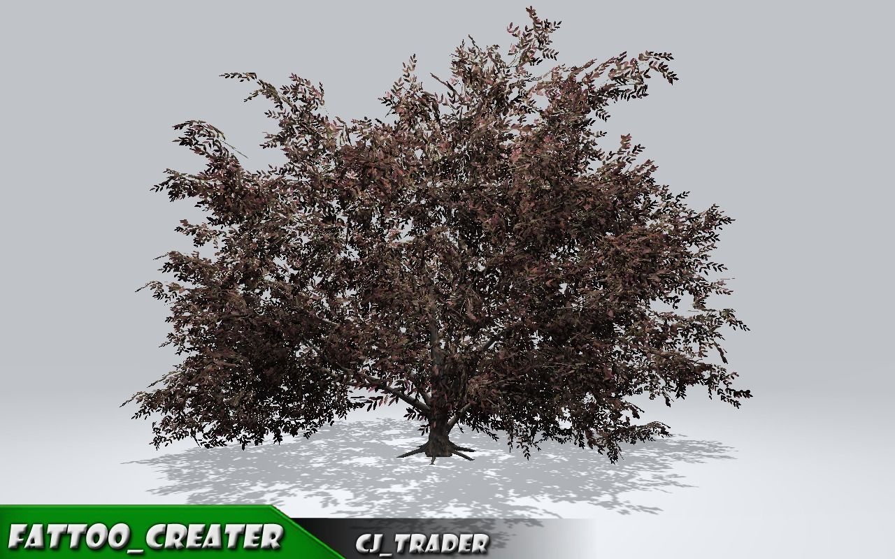 Realistic Ground Cover Collocation Pack 3D Model Low-poly 3D model_6