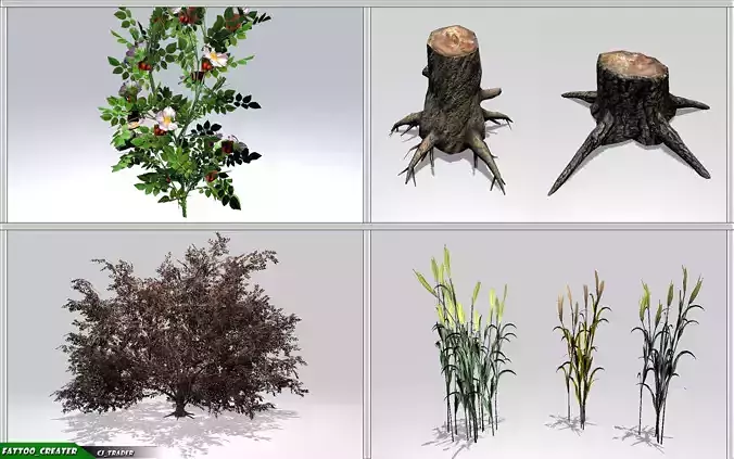 Realistic Ground Cover Collocation Pack 3D Model Low-poly 3D model