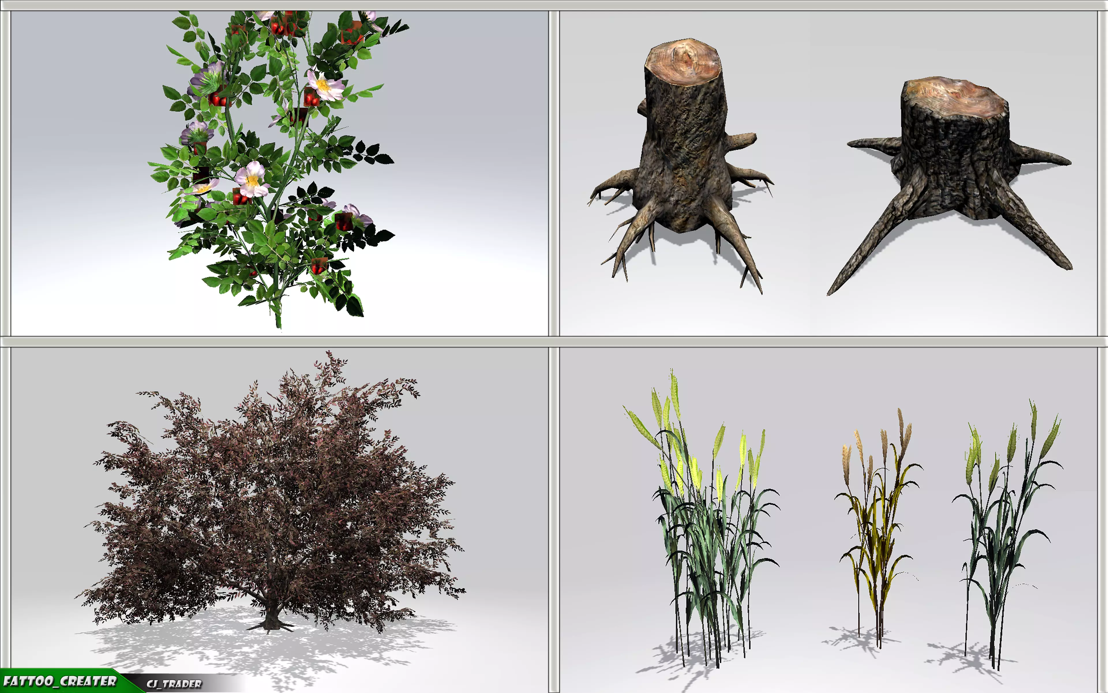 Realistic Ground Cover Collocation Pack 3D Model Low-poly 3D model_0