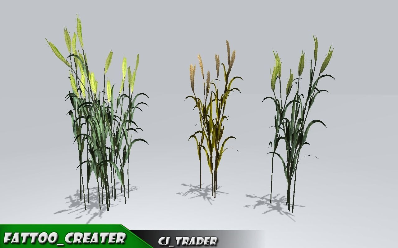 Realistic Ground Cover Collocation Pack 3D Model Low-poly 3D model_2