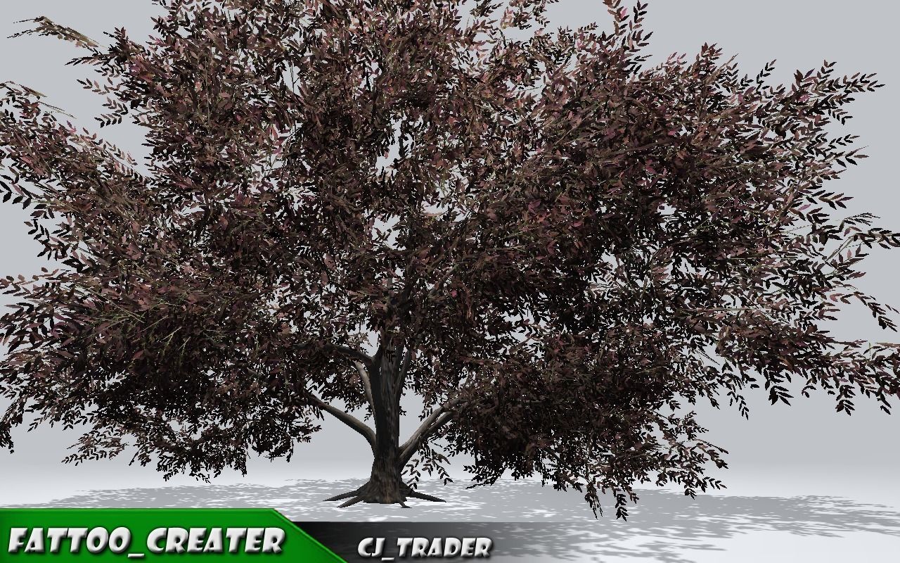 Realistic Ground Cover Collocation Pack 3D Model Low-poly 3D model_1