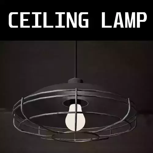 Ceiling Lamp