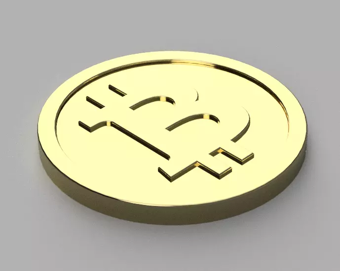 Bitcoin Long Term Cold Storage Coin 3D print model_0