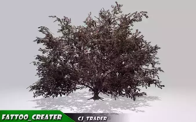 Natural Environment Realistic Tree 3d model 3D model