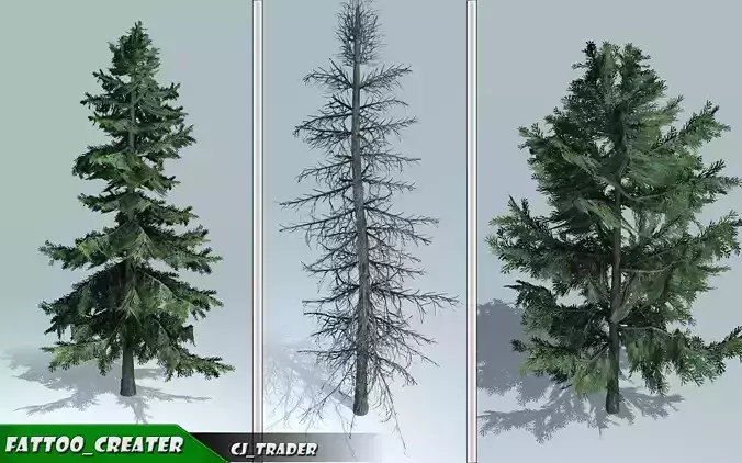 Alaska Tree Pack 3D Model Low-poly 3D model