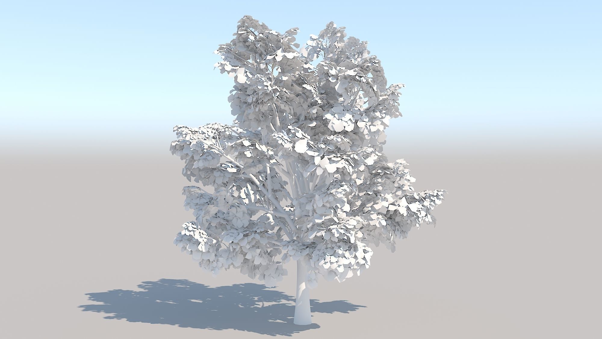 Maple Acer Tree 03 ArchViz 3D model_2