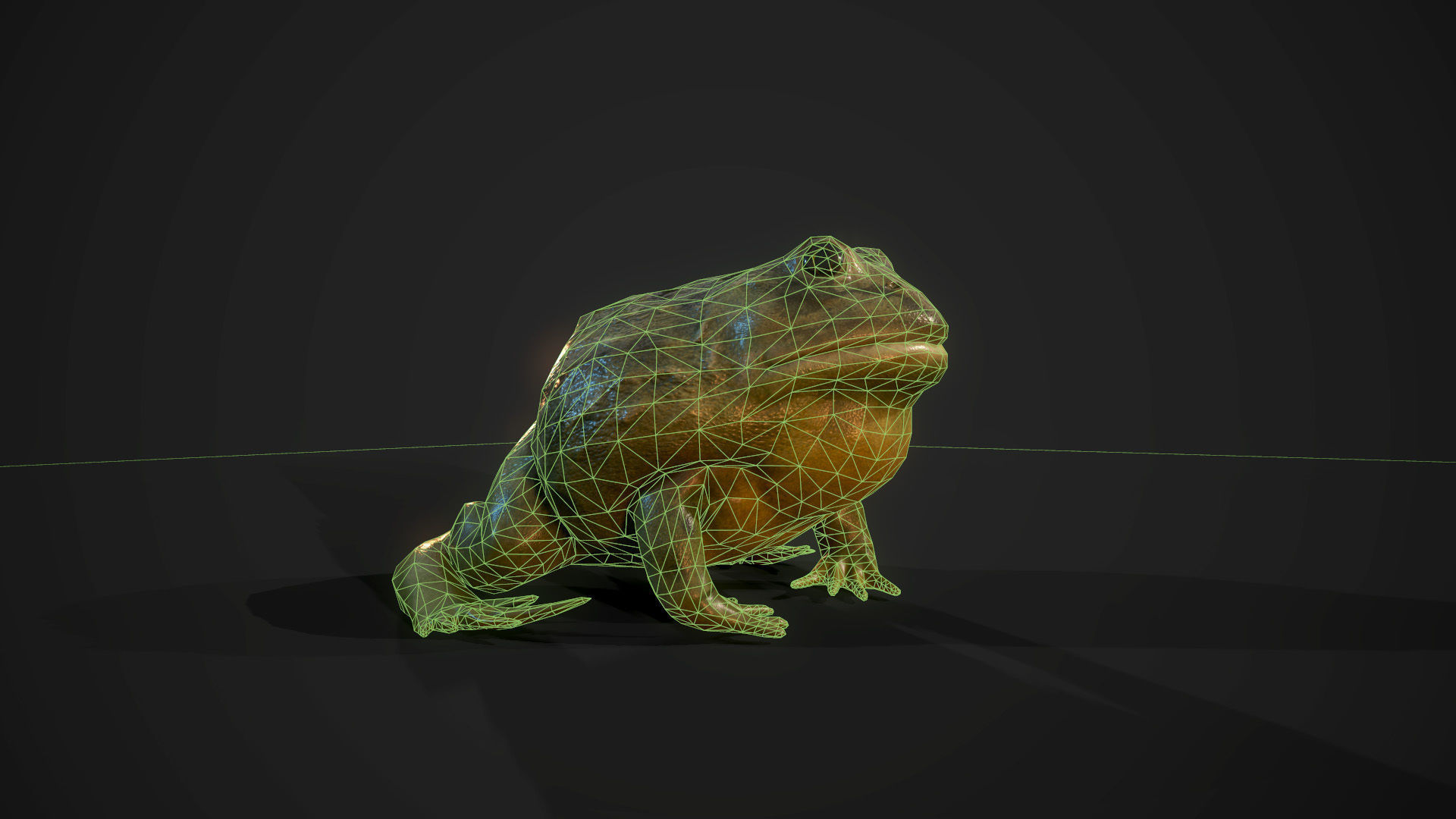 Pixie Frog - Game Ready Low-poly 3D model_16