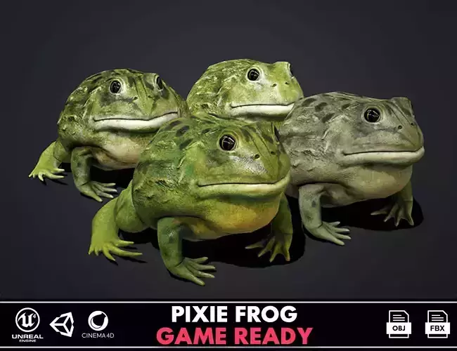Pixie Frog - Game Ready Low-poly 3D model