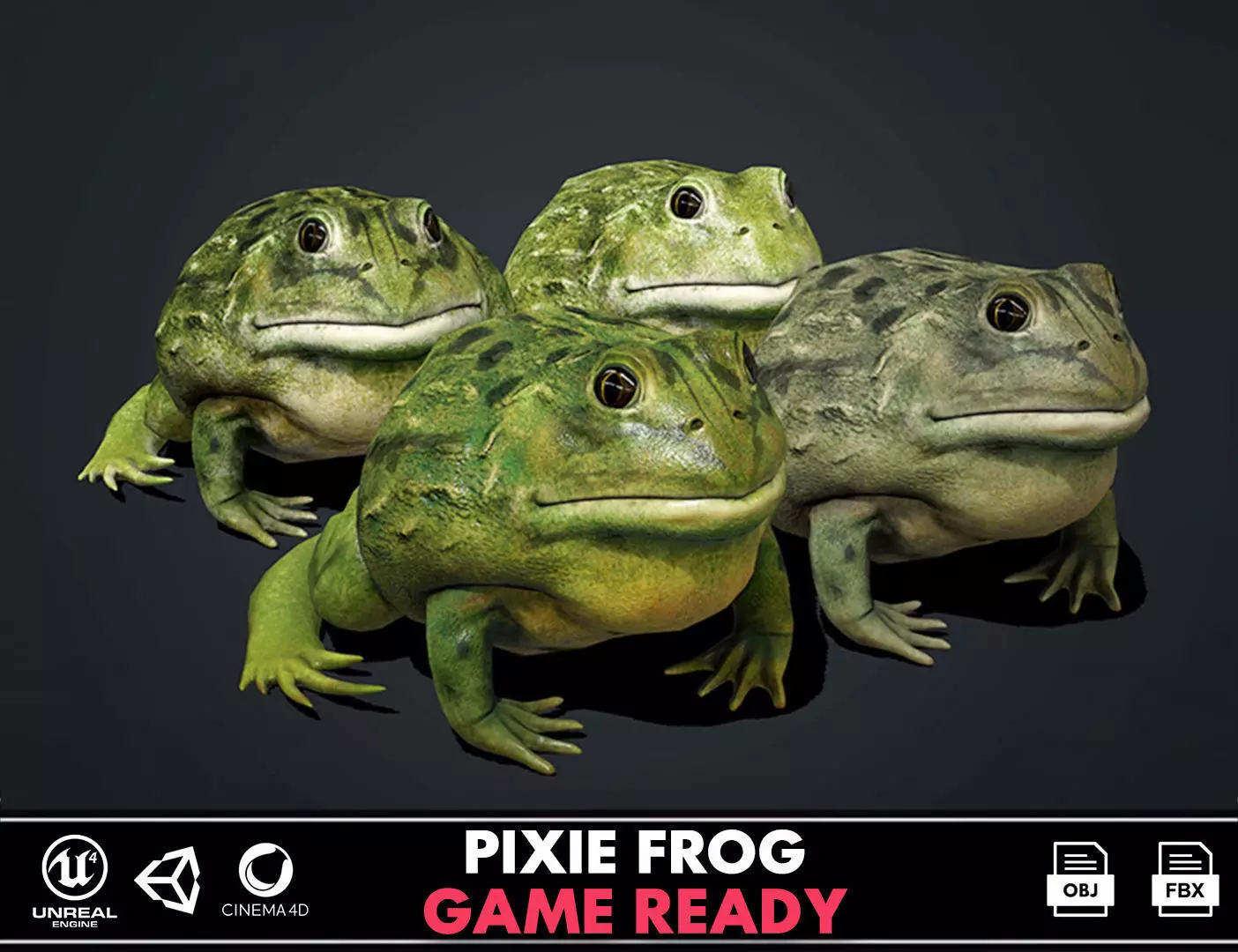 Pixie Frog - Game Ready Low-poly 3D model_0