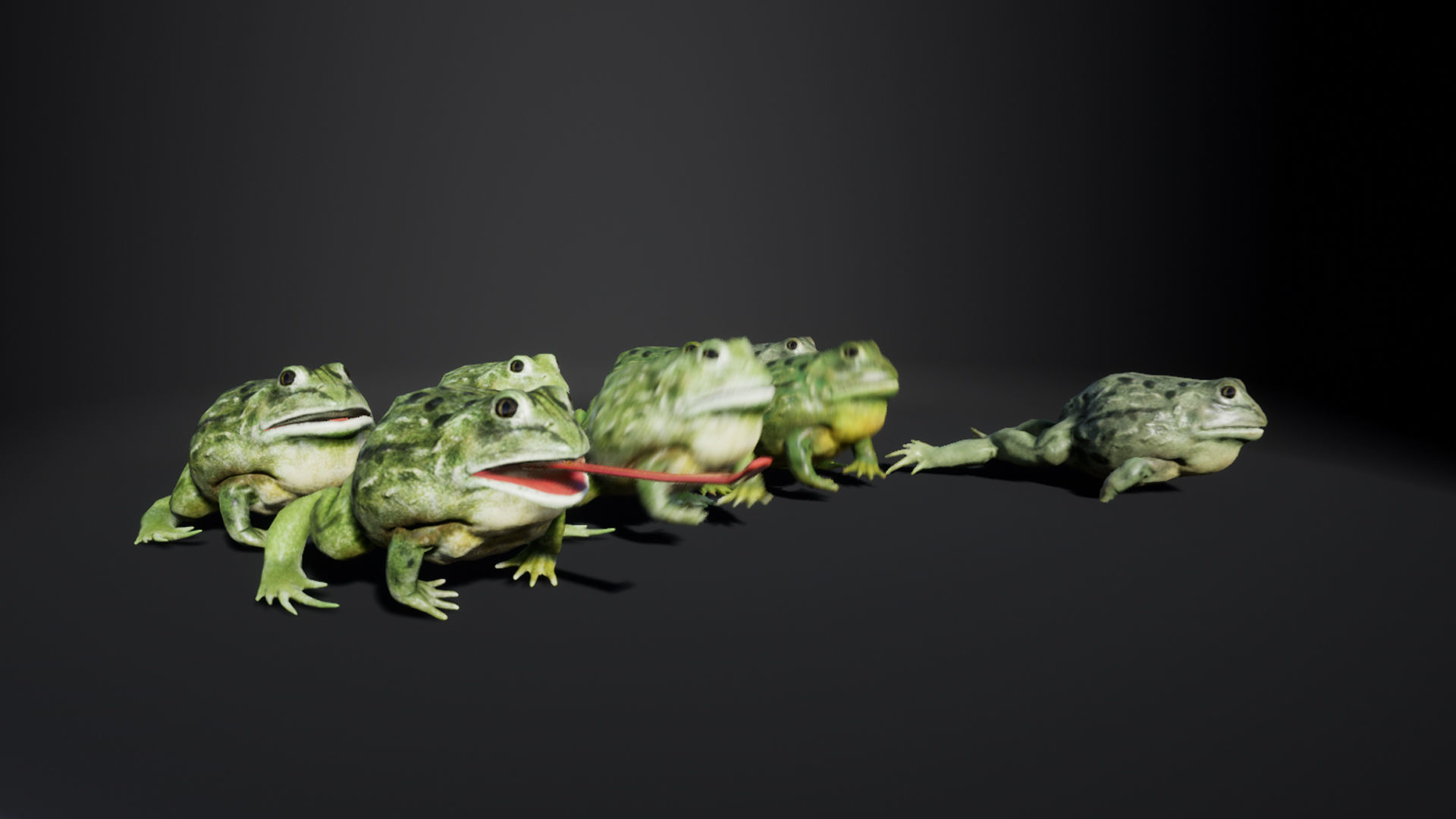 Pixie Frog - Game Ready Low-poly 3D model_13