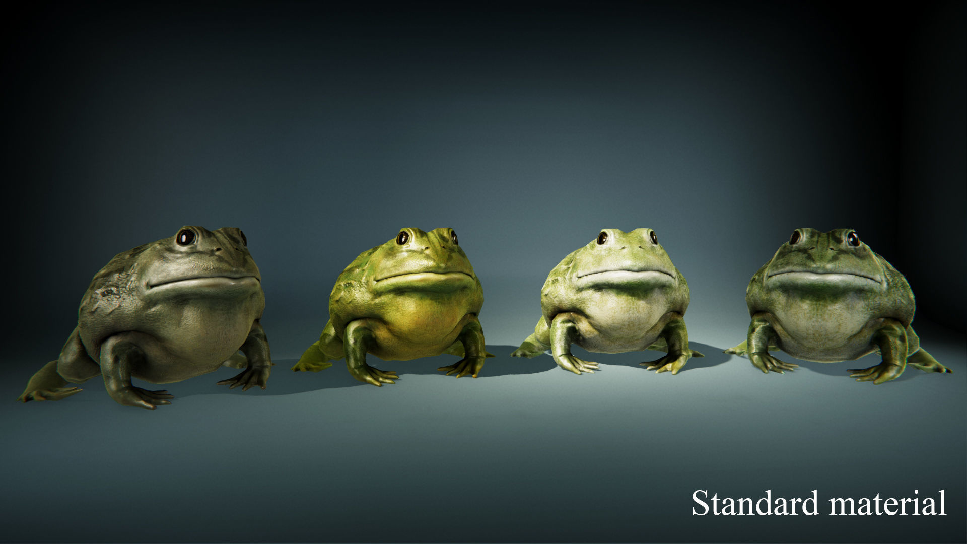 Pixie Frog - Game Ready Low-poly 3D model_17