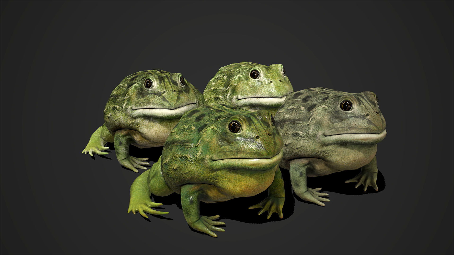 Pixie Frog - Game Ready Low-poly 3D model_2