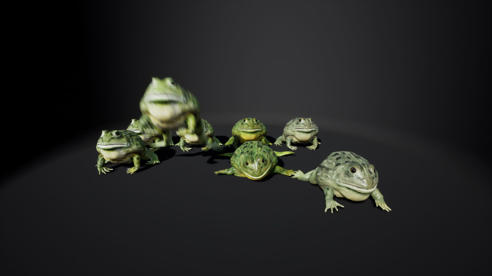 Pixie Frog - Game Ready Low-poly 3D model_14