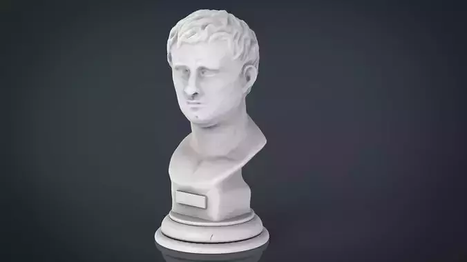 Agrippa Bust Low-poly 3D model