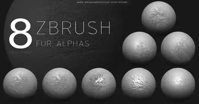 ZBRUSH - 2K FUR ALPHA PACK Free 3D model