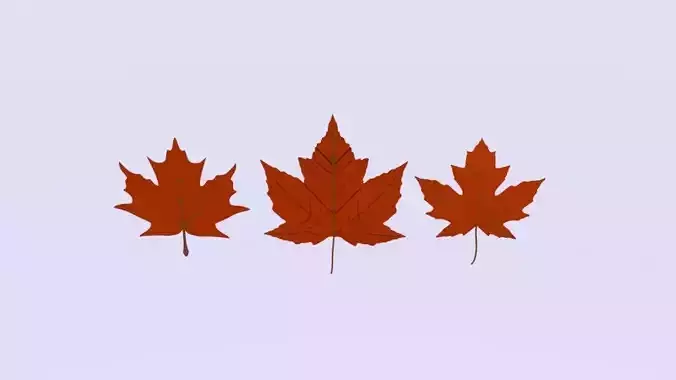Maple three leaves flying in air