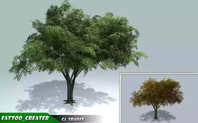 Realistic Elm Tree Pack 3D Model Low-poly 3D model