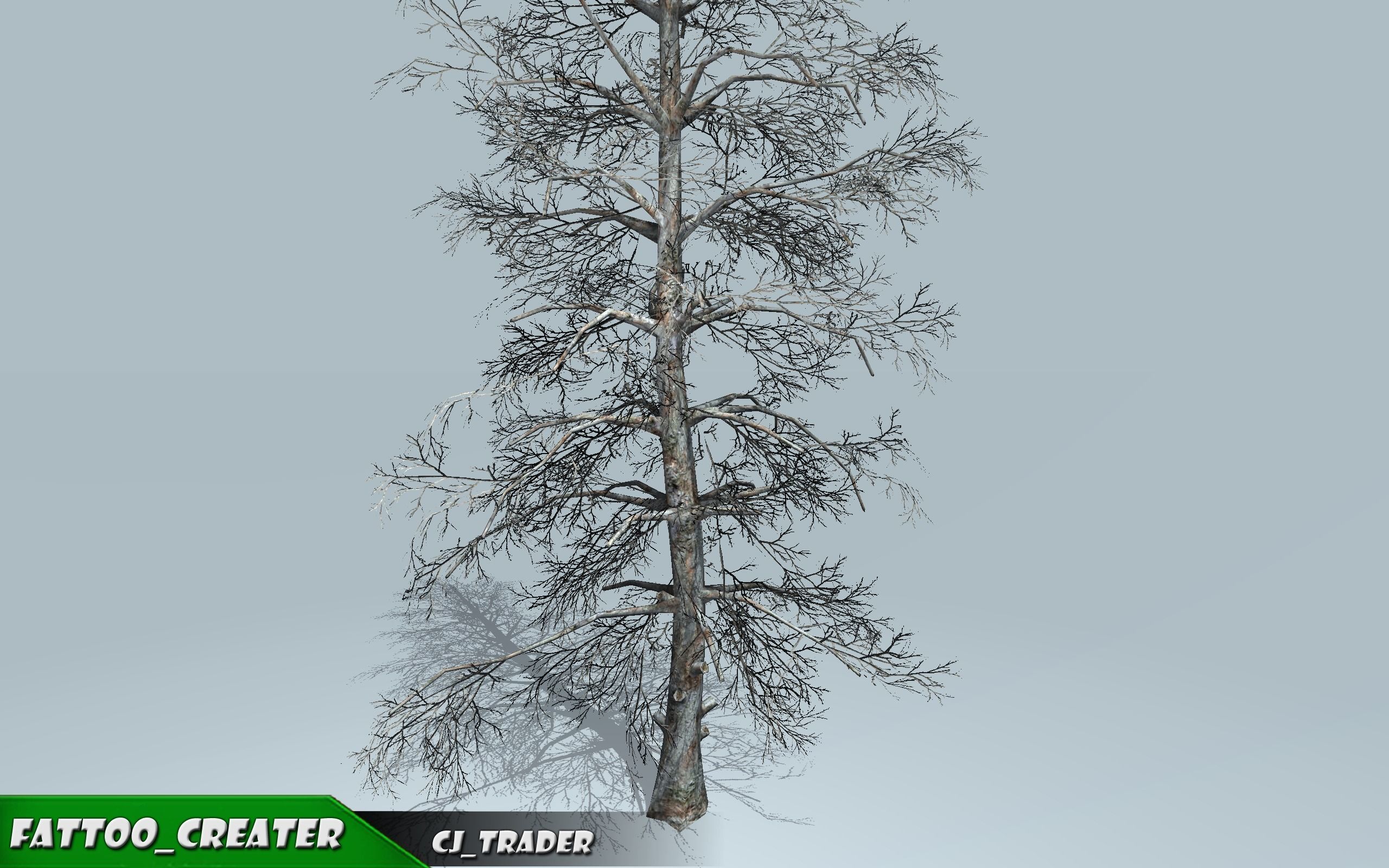 Realistic Blue Spruce Tree 3D Model Low-poly 3D model_1