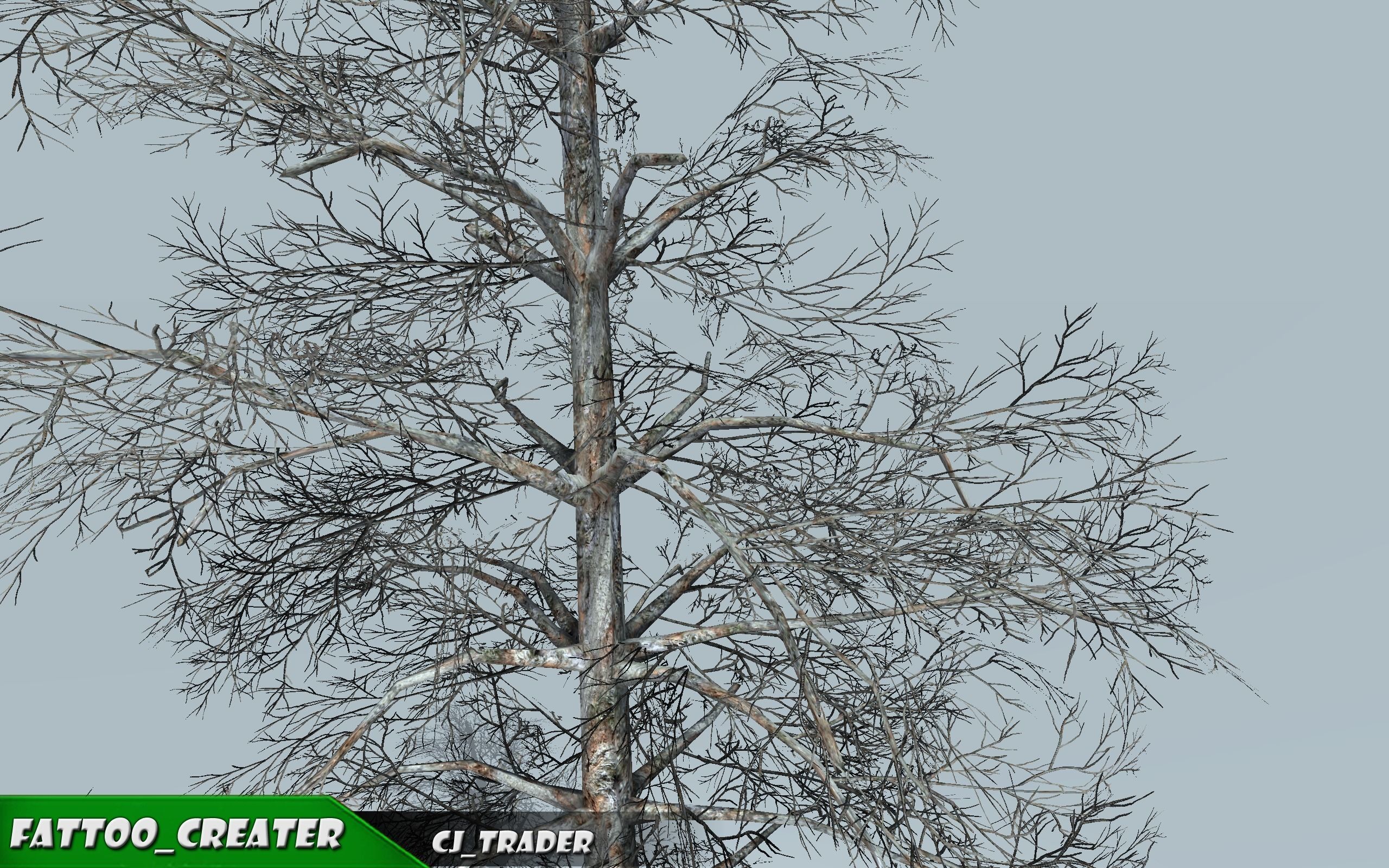 Realistic Blue Spruce Tree 3D Model Low-poly 3D model_3