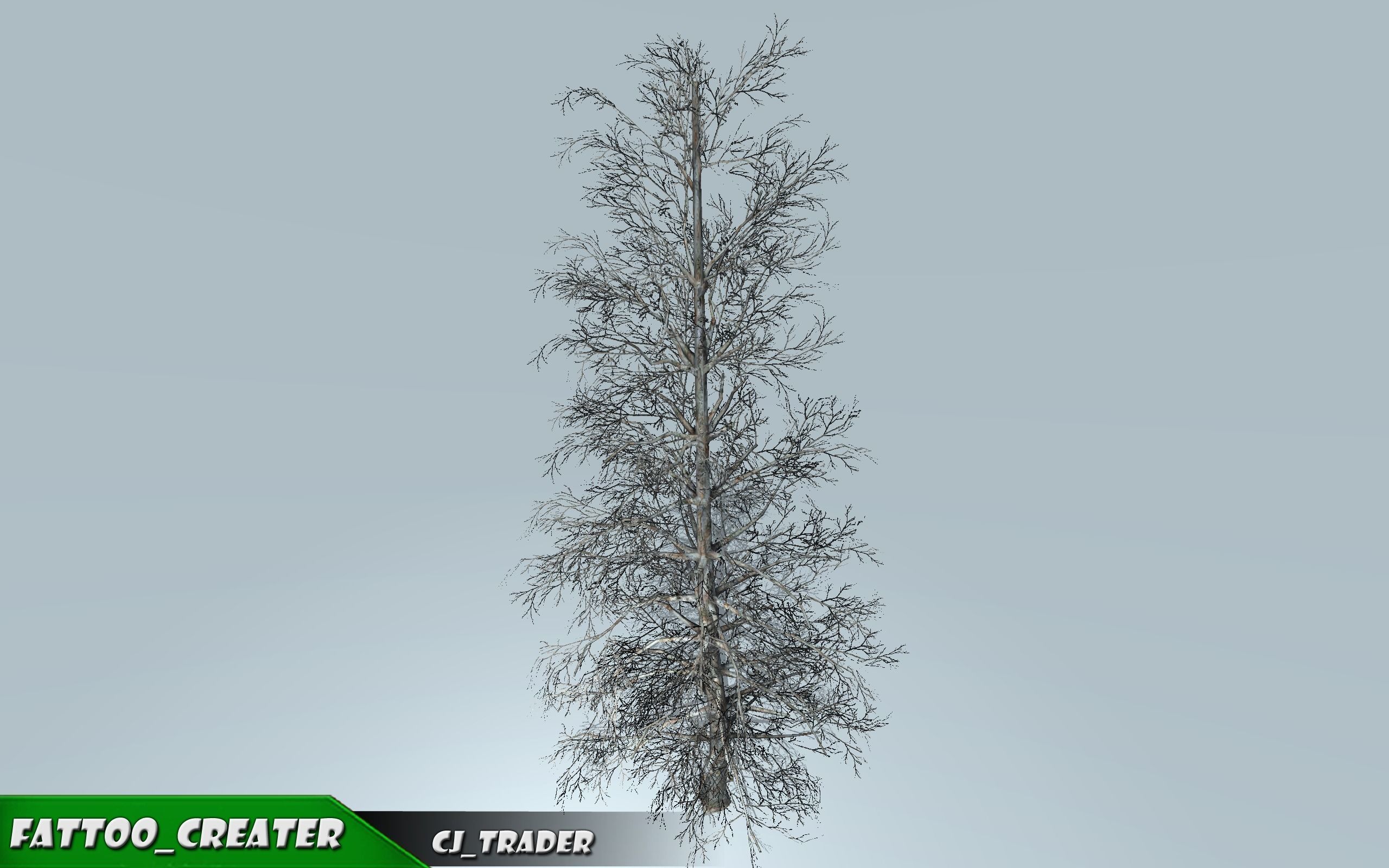 Realistic Blue Spruce Tree 3D Model Low-poly 3D model_2