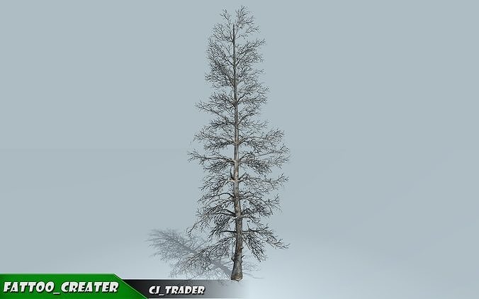 Realistic Blue Spruce Tree 3D Model Low-poly 3D model