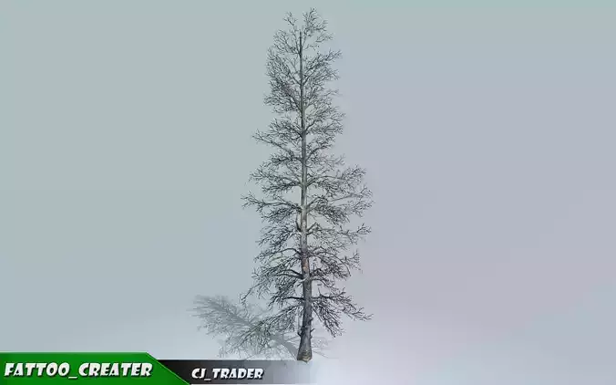 Realistic Blue Spruce Tree 3D Model Low-poly 3D model