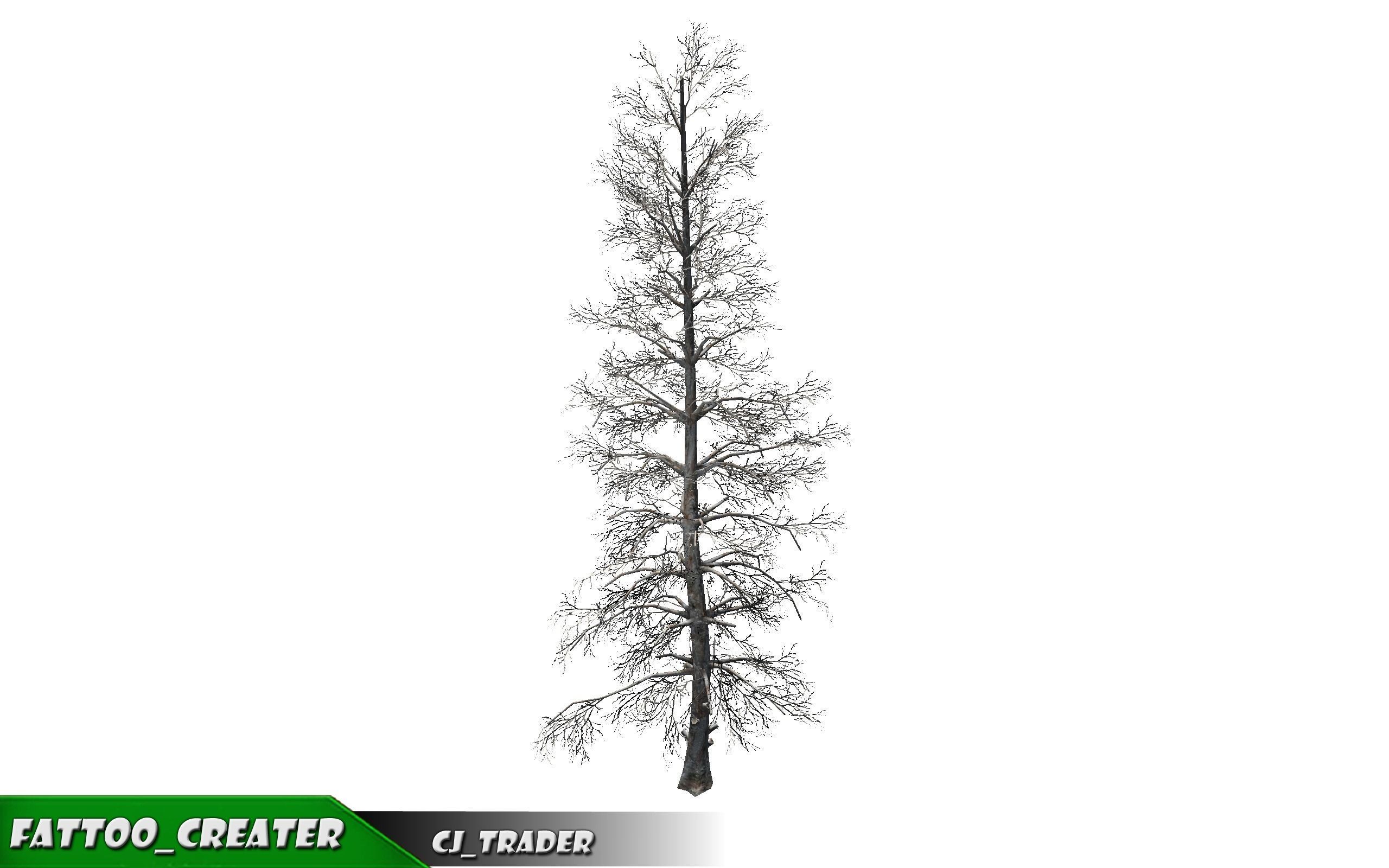 Realistic Blue Spruce Tree 3D Model Low-poly 3D model_4