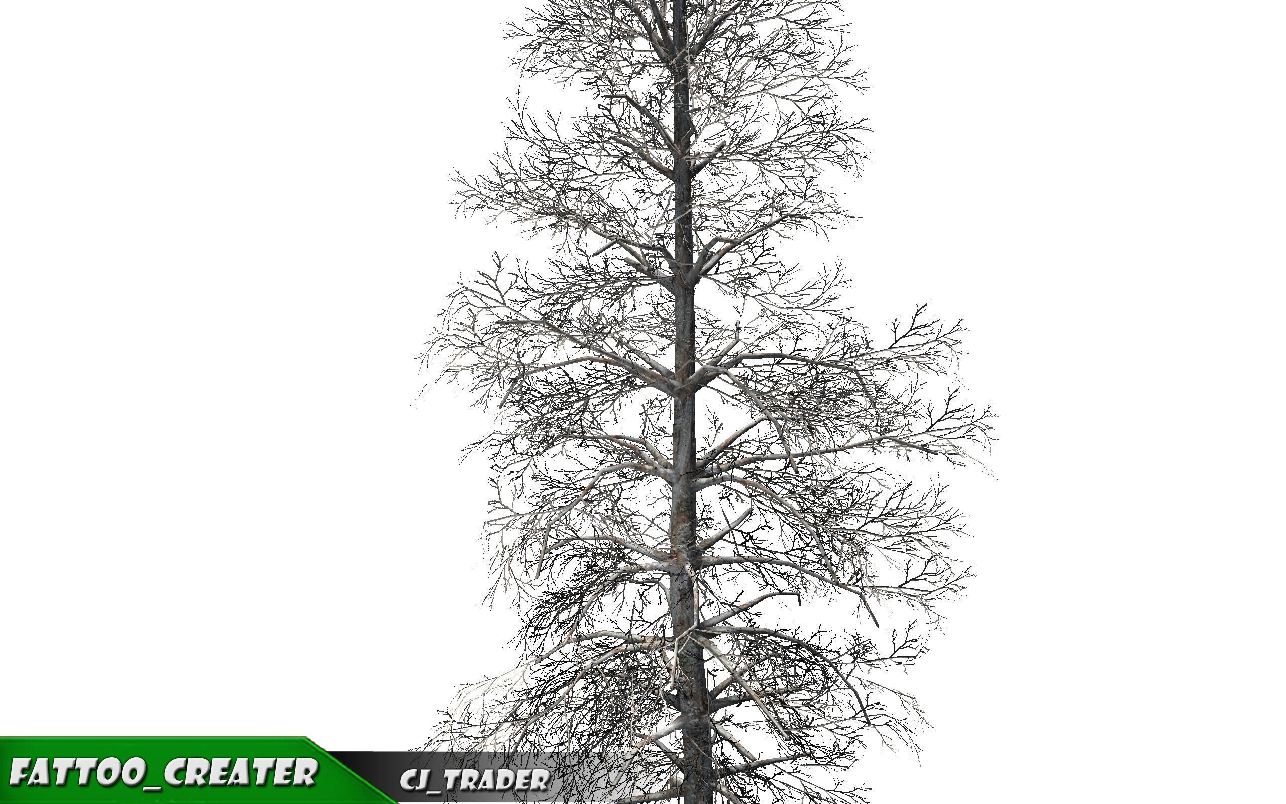 Realistic Blue Spruce Tree 3D Model Low-poly 3D model_5