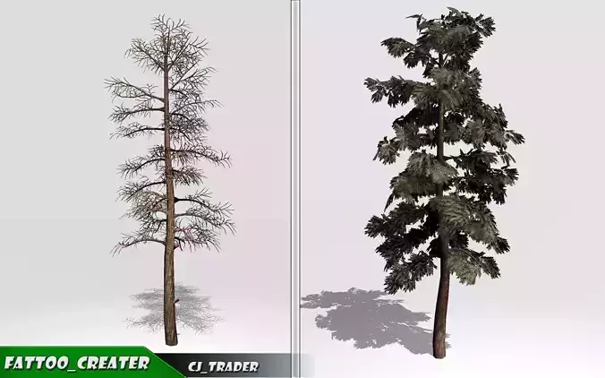 Realistic DouglasFir Tree Pack 3D Model Low-poly 3D model