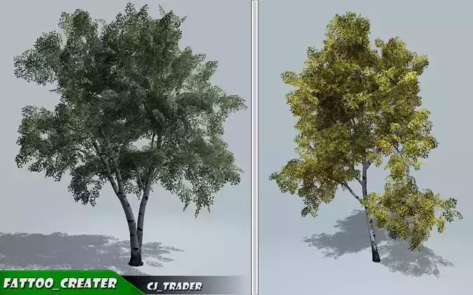 Tree European White Birch Collection Pack 3D Model Low-poly 3D model
