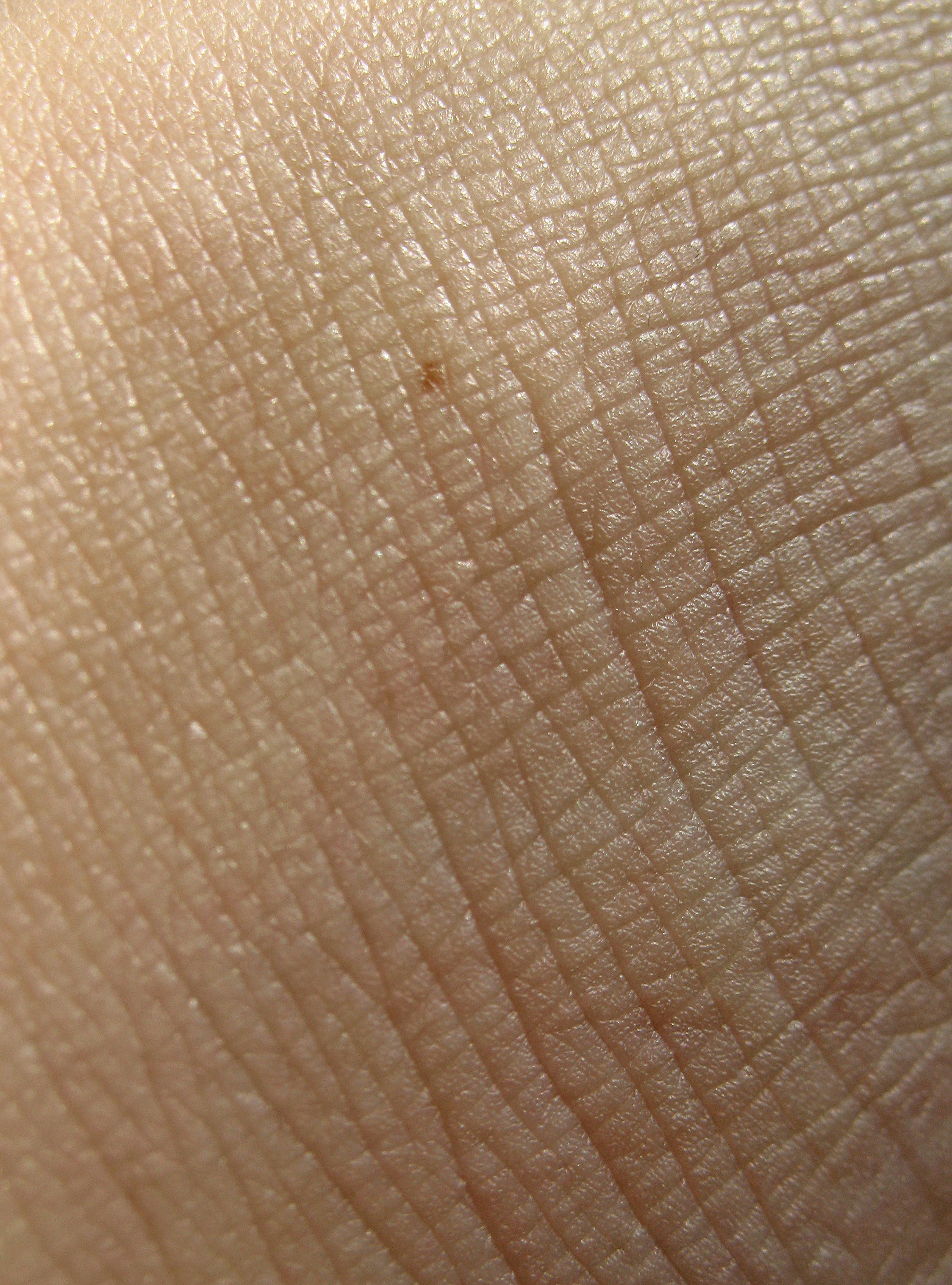 FREE ZBRUSH - HAND SKIN ALPHA PACK Free low-poly 3D model_1