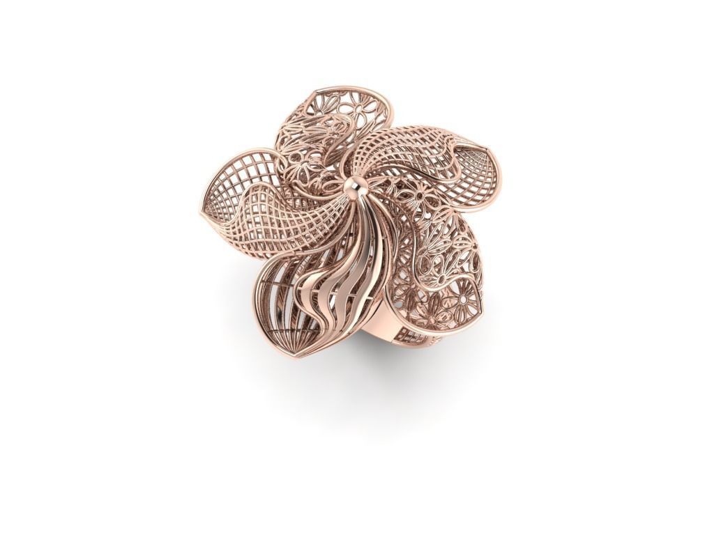 Fusion Ring 001 3D print model_1