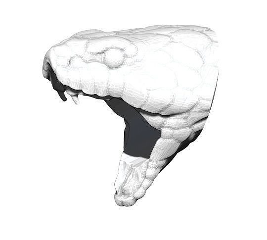 Snake Cobra Ring 3D print model