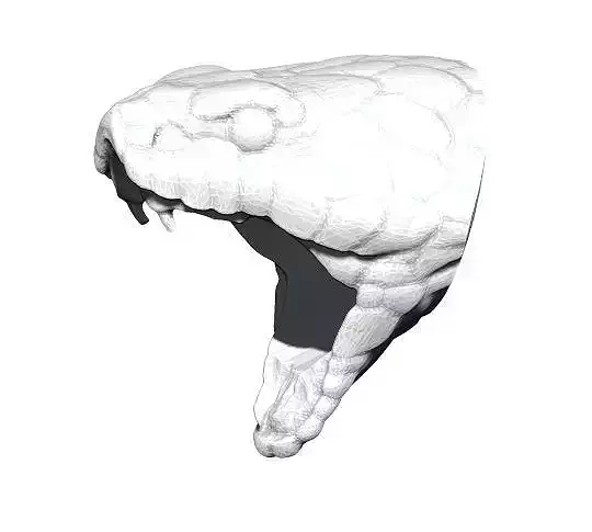 Snake Cobra Ring 3D print model
